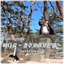 (유)대신치과기기계상사 | ＃17.11.20~26 신혼일상 ; 떠나요 ~ 경주로♩ 모든걸 훌훌버리고 ~~~