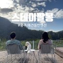 스테이 팔봉 이미지