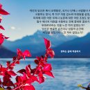 변하는 삶에 적응하기 이미지