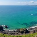 제주도한달살기 | 낭만과 현실 사이! 제주도 한달살기 솔직 후기 ✈️