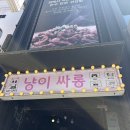 냥이싸롱 - 중구 대종로480번길 40 | 냥이싸롱