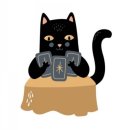 재미있는 타로이야기 이미지