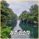 석림농원 | 제주 쇠소깍 산물관광농원, 테우 예약 外 여행 후기