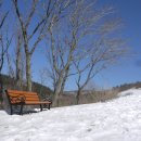 광희초등학교 이미지