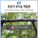 운암지 유아숲체험원 이미지