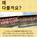 맛있기로 소문난 꿀고구마 불로구마 아이스 군고구마