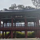 늧가을 여행(백담사 자작나무숲 등) 이미지