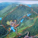 금강송체험야영장 이미지