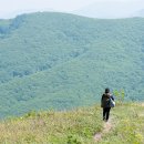 동강전망자연휴양림 이미지