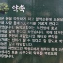 백령도쑥하수오 영농조합법인 | 🫚백령도특산물 약쑥+하수오🫚