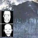 가학농장 이미지