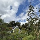 숲그린 | 오창 외곽 너무 예쁜 감성 카페 [숲이그린정원] 방문후기