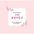따뜻한공인중개사사무소 | 구미문성부동산 봄햇살처럼 따뜻한 부동산 상담, 봄빛 공인중개사사무소