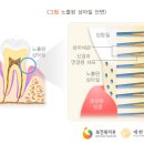 이라면 이미지