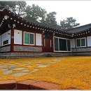 해무펜션민박 티스토리