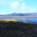 낙동강변24 이미지