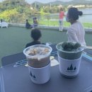 호일플랜트(주) | 9월마지막주 사진일기(화이자2차접종후기, 쿠팡장보기, 미용실, 다이어트샐러드, 주말먹부림, 코딩공부)
