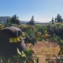 유상농장 이미지