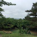 안개4길 | 무계획 제주도 여행과 제주대 축제 후기