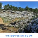 10월25일 (일) 공주 구절산 (구절초 꽃구경 가기) 이미지