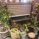 고모리전주한정식 이미지