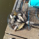 봉재 낚시터 이미지