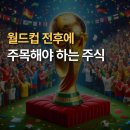 월드컵 때 꼭 봐야 할 주식 섹터 완전 정리