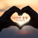 이제 다시 비상하려고(천북굴축제 공연) 이미지