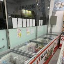 더쿨24시 티스토리