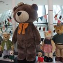 제주테디베어뮤지엄 이미지