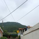 안집추어탕 이미지