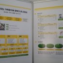 구항초등학교 | 전인교육학회 추계 학술대회 후기][특별 강연] 어쩌다...성장하는 명상교육 - 이오남(구항초등학교 교사)