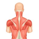 센스짐 석남점 이미지