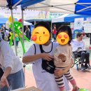 한빛 태권도 체육관 | 한빛 가을 운동회 ( 1부 )