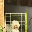 카페사무소