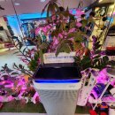 한국위너복싱 봉천점 이미지