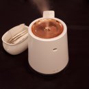 웰리스팜 이미지