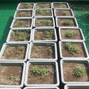 시흥1동 주민센터 이미지