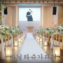 슈가파티 이미지