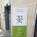 감성화목;꽃 이미지