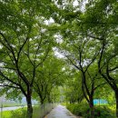 자라목공원 이미지