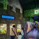 분당어린이공원(어32) | 대전 아쿠아리움 아기랑 봄나들이 실내 가볼만한 곳 먹이주기 체험 후기