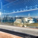 감천의 영웅들 | [부산여행 1박2일] 1일차, 또 가고픈 흰여울 문화마을