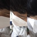 네오데이즈