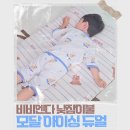 여름 낮잠이불 냉감 패드, 비비엔다 모달 아이싱 듀얼로 사계절 해결