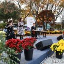 드라이브 in 콘서트 이미지