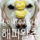 (11/21)반려동물 수제간식 고구마쿠키 | 강아지수제간식 반려동물간식 해피왈츄 고구마쿠키