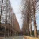 순천-18호 이미지