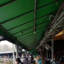 자일낚시터 이미지