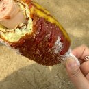 핫도그 | 양평두물머리 명물 두물머리연핫도그 후기